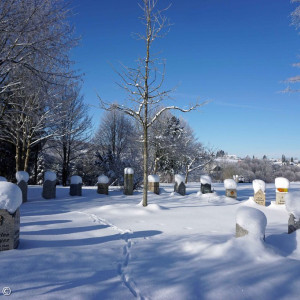 Friedhof Zell NEU 2
